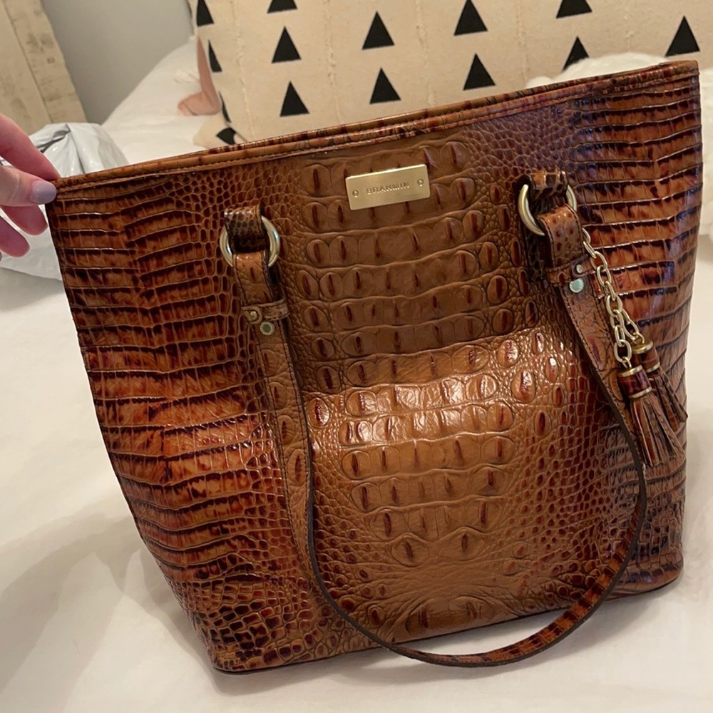 Brown Brahmin Purse